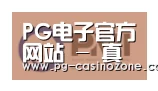 PG电子合作伙伴一