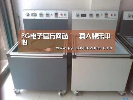 PG电子案例展示二