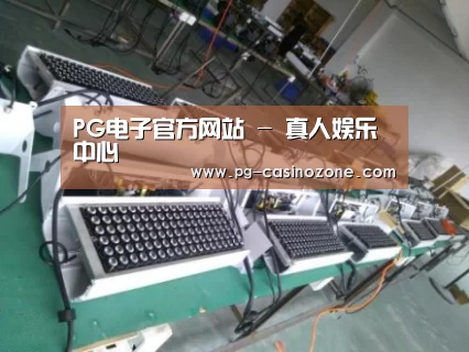 PG电子案例展示一