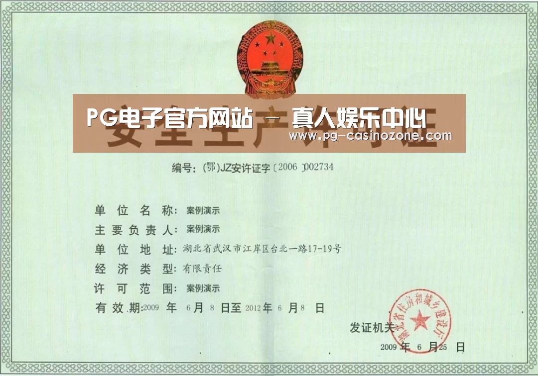 PG电子荣誉证书三