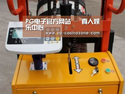 PG电子案例展示三