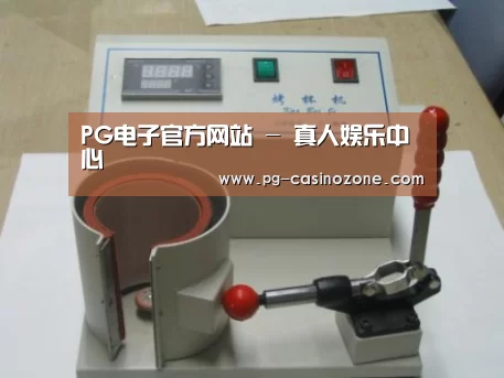 PG电子案例展示六