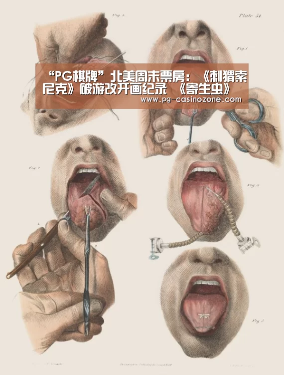 PG虎机