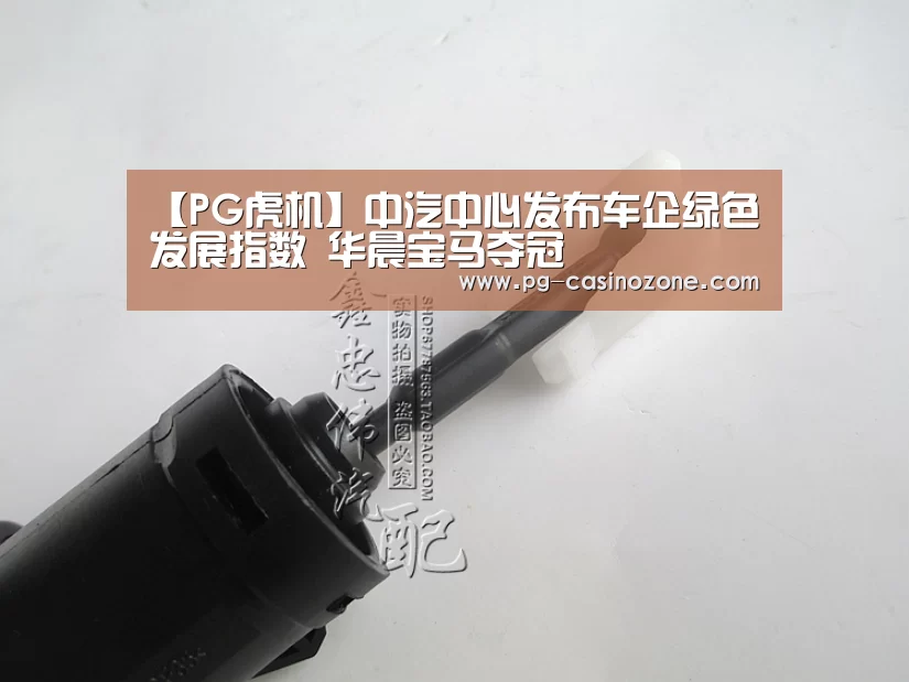 【PG虎机】中汽中心发布车企绿色发展指数 华晨宝马夺冠(图4) PG电子